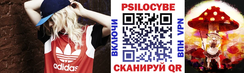 Галлюциногенные грибы Cubensis  как найти закладки  Правдинск 